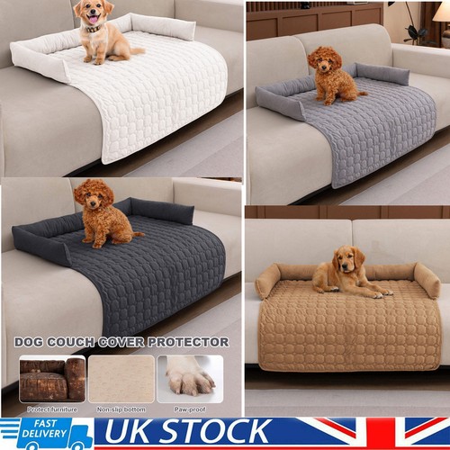 Dog cat sofa bed - dog, couch