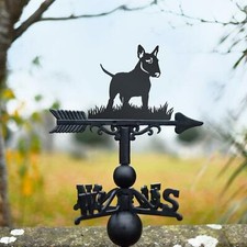 English Bull Terrier Dog