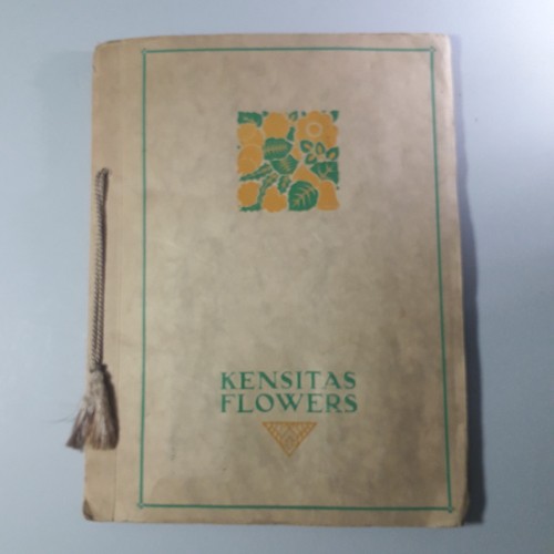 Kensitas silk flowers - silk,
