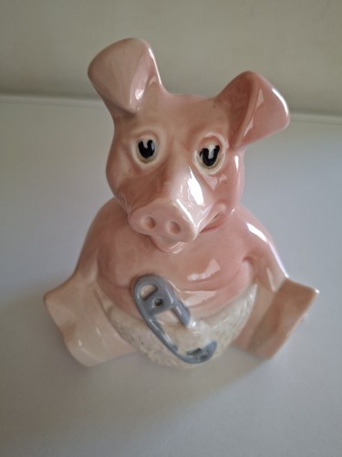Woody the baby pig - woody, nat