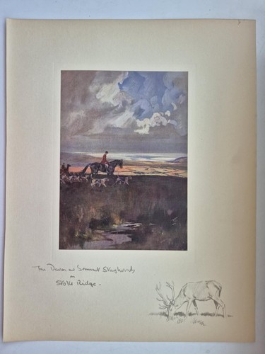 Antique coloured fox hunting - antique,