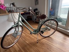 Pendleton ashwell sage bike S frame + accessories