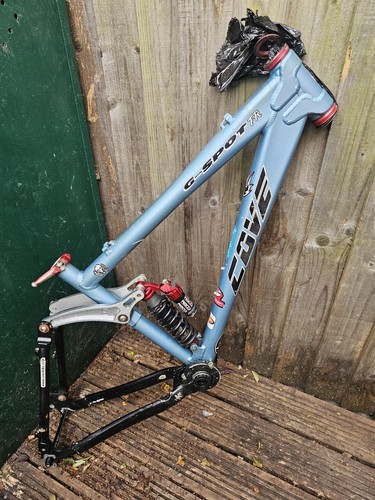 Cove spot mtb medium - mtb,
