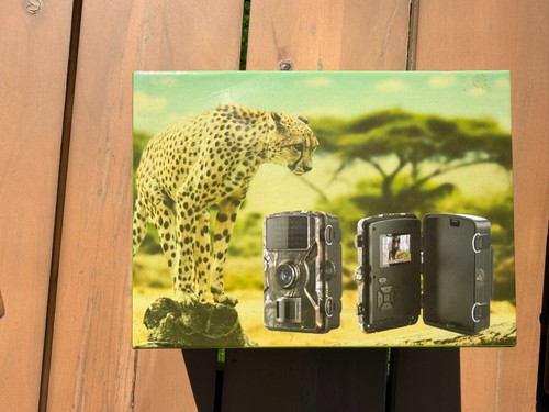 Long detection hunting - hunting, camera