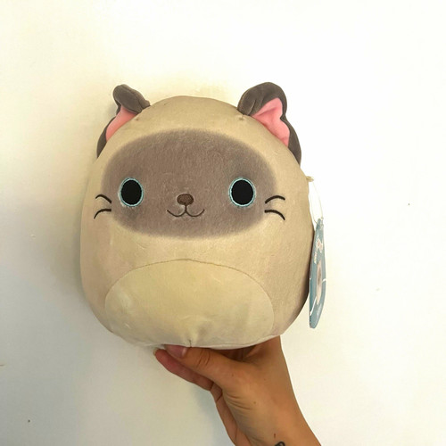 Squishmallows felton siamese - felton,