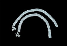 Silver Colours New Indian