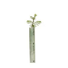 60cm x 50mm Tubex Easywrap 50