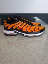 Stunning Nike Air Max Plus