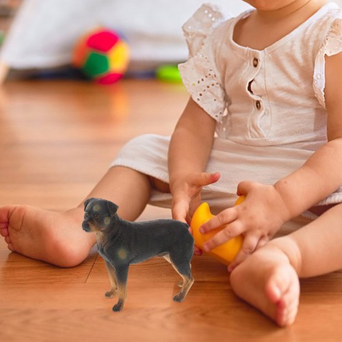 Reusable plastic rottweiler - plastic,