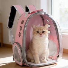 Astronaut Window Dog Cat