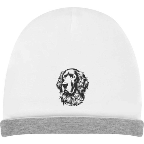 Irish setter kids - 'irish,