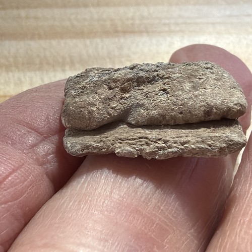 Roman lead curse wish found - found, at