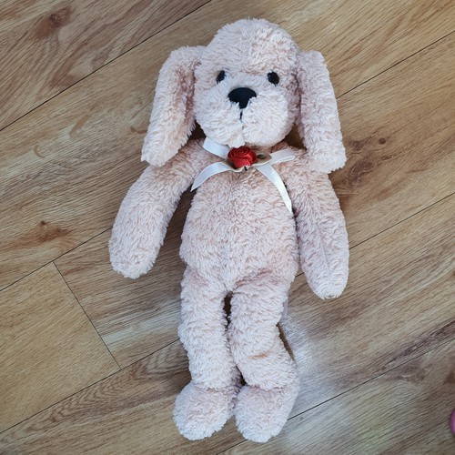 Tesco dog puppy - tesco,