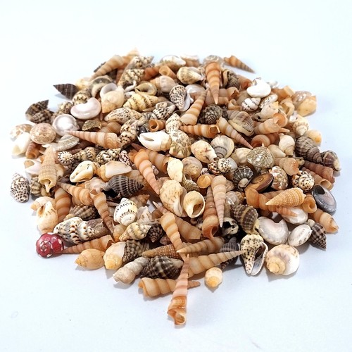 Assorted mixed mini craft - mixed,