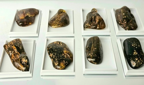 Amber crystal display case - amber,