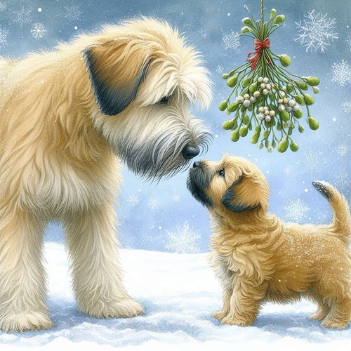 Single luxury wheaten - single, terrier