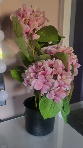 Large inch hydrangea - large, 19