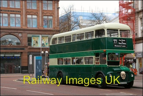 Bus photo tourist - -,