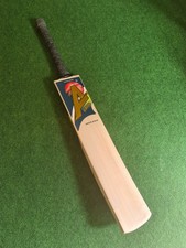 Arks Platinum : Grade 1+ Pro Player English Willow Cricket Bat, 1195gm 2Lb 10oz