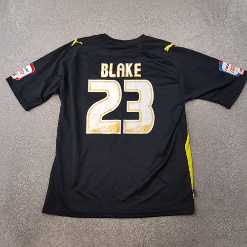 Cardiff city football shirt - city,