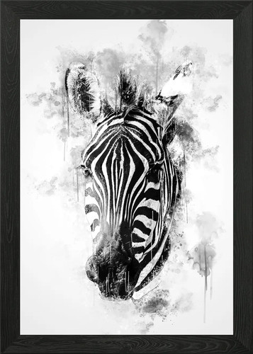 Zebra head black and - head,