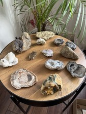 Fossil & Crystal Collection