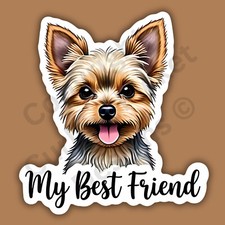 My Best Friend Yorkie