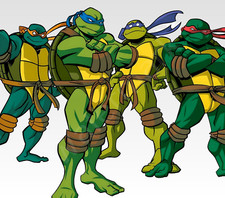 TMNT Teenage Mutant Ninja