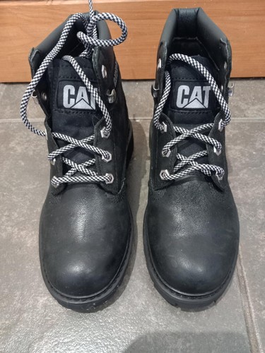 New ladies cat - new, caterpillar