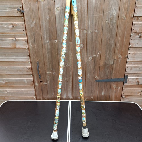 Walking stick hiking canes - 2x,