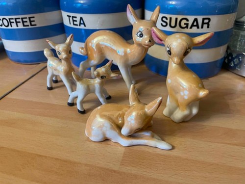 Set cute kitsch - of,