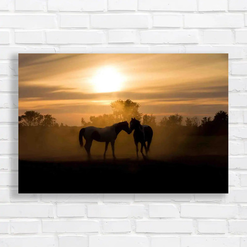 Horses embracing sunset a - embracing,