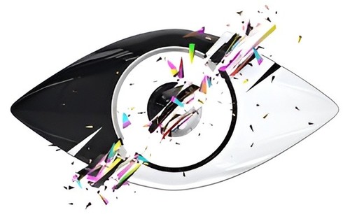 Big brother series 17 - big,