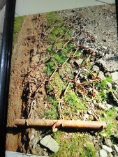 Quad Size Chain Harrows