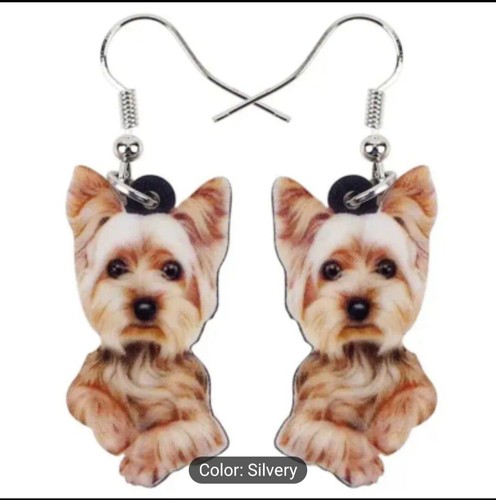 Yorkie yorkshire terrier - yorkie,