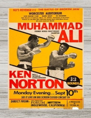 Vintage ali norton metal - v,
