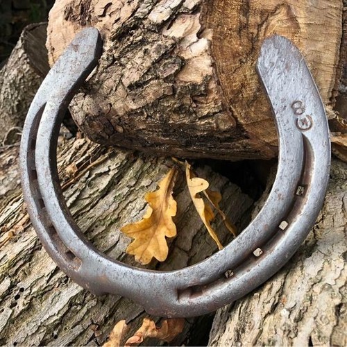 Horse shoe shire - horse, shoe,