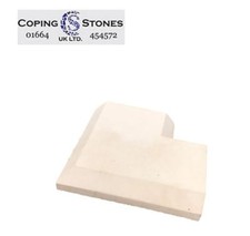 Coping Stones - 600mm x 280mm
