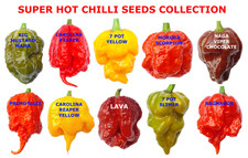 SUPER HOT CHILLI SEEDS