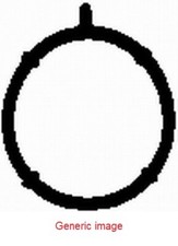 Intake Manifold Gasket Fits