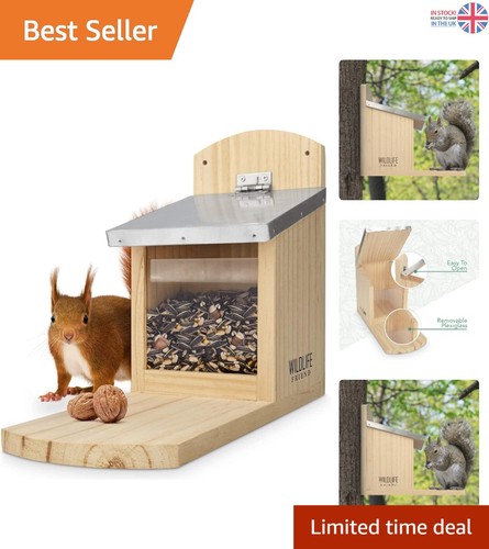 Stable hanging squirrel - stable,