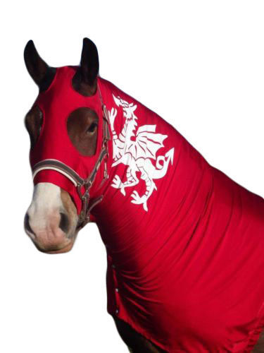 Red proud welsh - proud, be