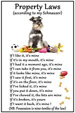 Miniature Schnauzer Dog Lovers