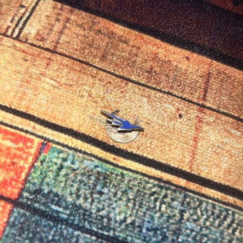 Vintage enamel airplane badge - enamel,
