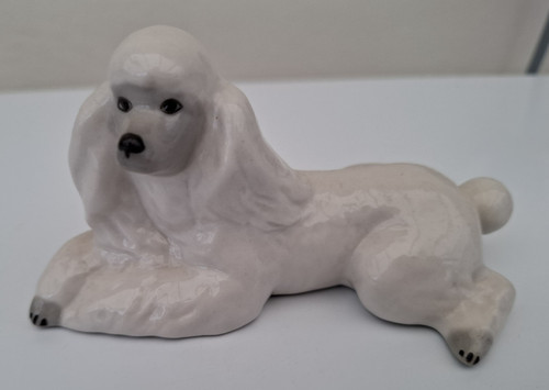 Lomonosov russian white poodle - lomonosov,