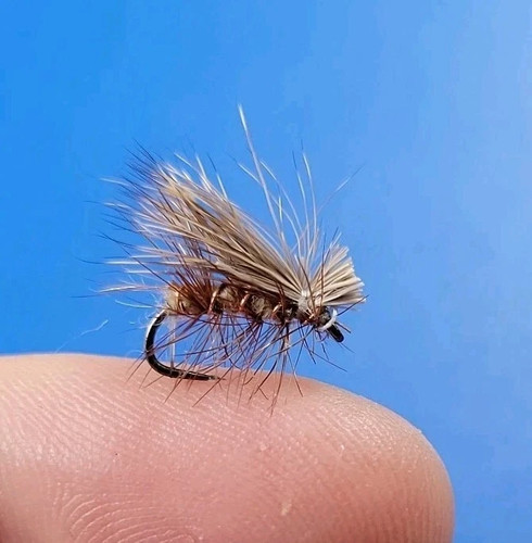Barbless elk hair - elk, caddis
