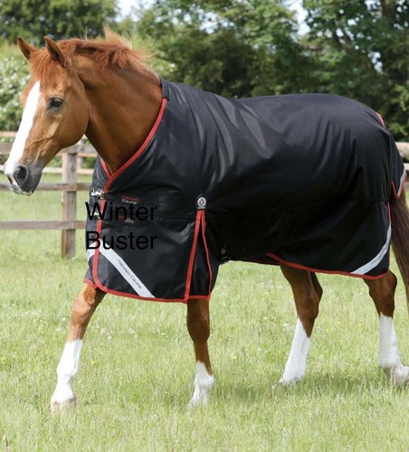 Premier equine winter buster - equine,
