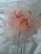 Blush Pink Fascinated M&S