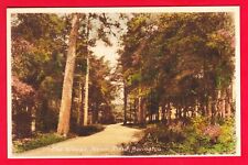 Postcard - BOVINGTON Dorset THE WOODS Menin Road [Frith] #BVGN1 c1950s Unposted