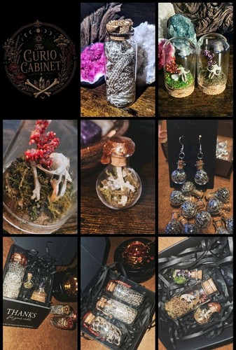 Pick your own curio - ✨️pick,